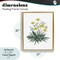 Stupell Industries Dandelion Flower Illustration Floating Frame, design by Cecilia Battaini